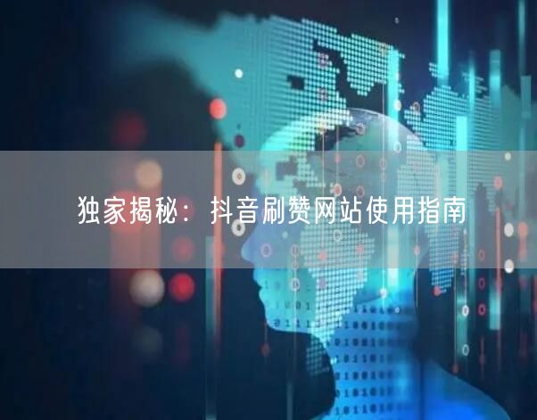 独家揭秘：抖音刷赞网站使用指南