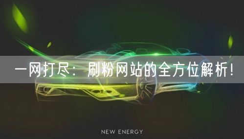 一网打尽：刷粉网站的全方位解析！