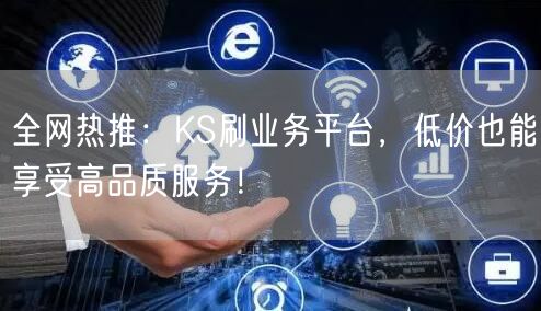 全网热推：KS刷业务平台，低价也能享受高