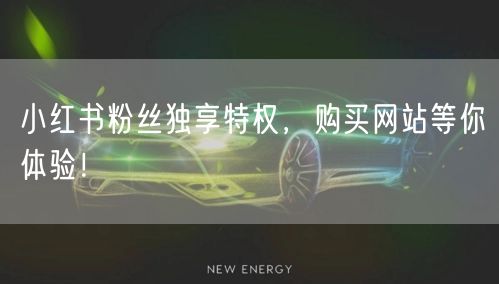 小红书粉丝独享特权，购买网站等你体验！