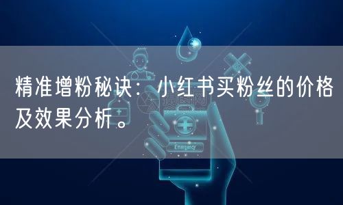 精准增粉秘诀：小红书买粉丝的价格及效果分析。