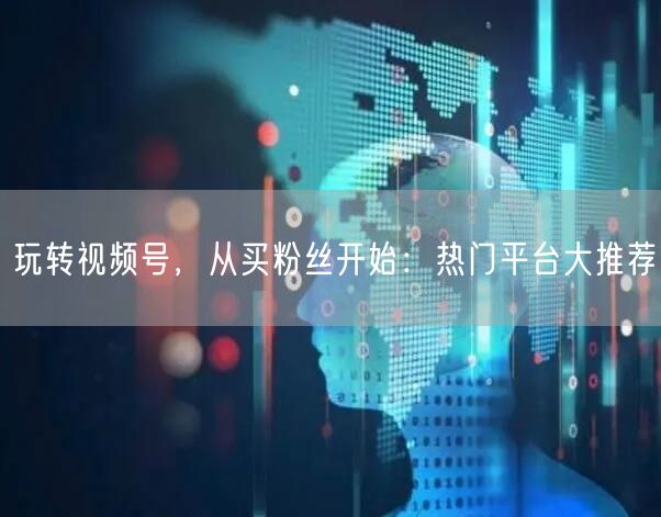 玩转视频号，从买粉丝开始：热门平台大推荐