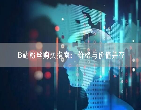 B站粉丝购买指南：价格与价值并存