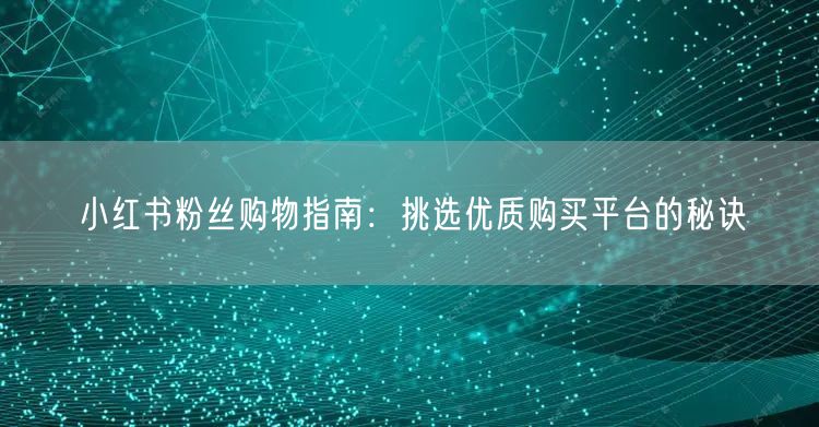 小红书粉丝购物指南：挑选优质购买平台的秘