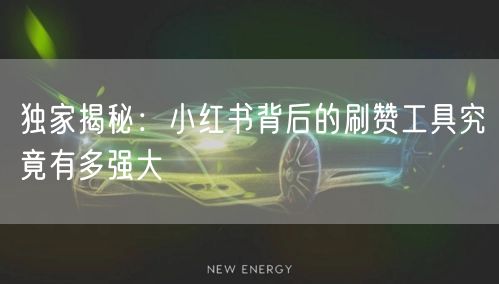 独家揭秘：小红书背后的刷赞工具究竟有多强大