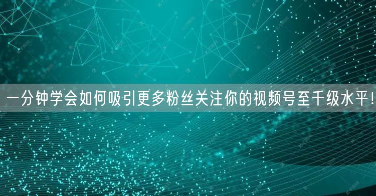 一分钟学会如何吸引更多粉丝关注你的视频号