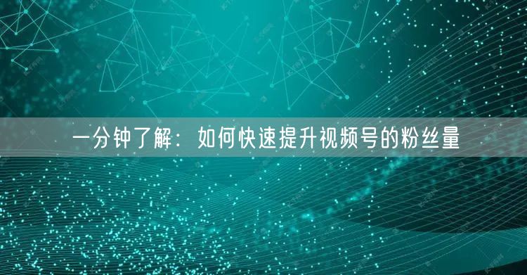 一分钟了解：如何快速提升视频号的粉丝量