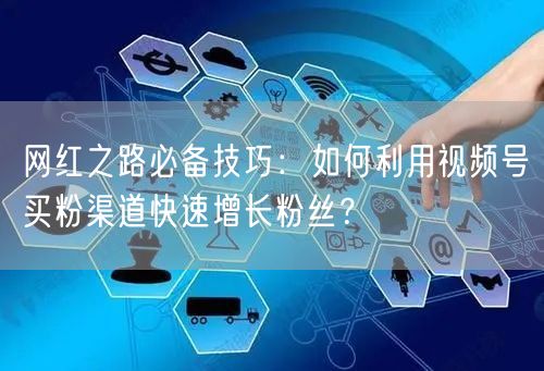网红之路必备技巧：如何利用视频号买粉渠道快速增长粉丝？
