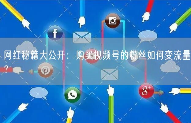 网红秘籍大公开：购买视频号的粉丝如何变流量？