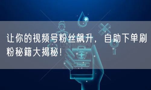 让你的视频号粉丝飙升，自助下单刷粉秘籍大揭秘！