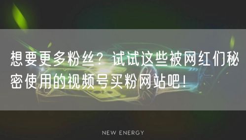 想要更多粉丝？试试这些被网红们秘密使用的视频号买粉网站吧！