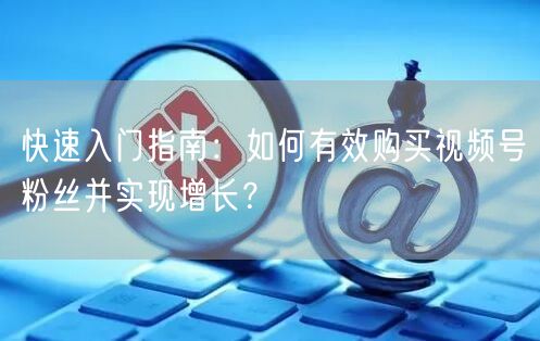 快速入门指南：如何有效购买视频号粉丝并实现增长？