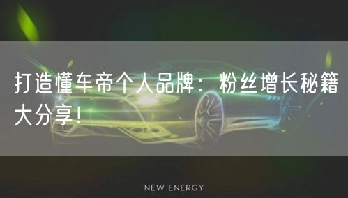 打造懂车帝个人品牌：粉丝增长秘籍大分享！