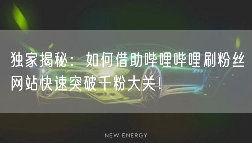 独家揭秘：如何借助哔哩哔哩刷粉丝网站快速突破千粉大关！