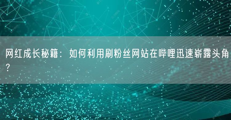 网红成长秘籍：如何利用刷粉丝网站在哔哩迅速崭露头角？