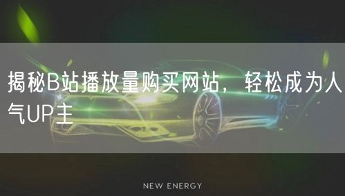 揭秘B站播放量购买网站，轻松成为人气UP主