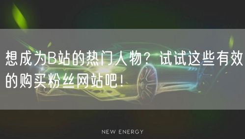 想成为B站的热门人物？试试这些有效的购买