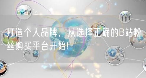 打造个人品牌，从选择正确的B站粉丝购买平