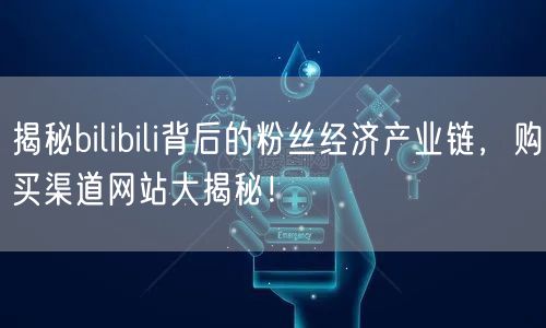 揭秘bilibili背后的粉丝经济产业链，购买渠道网站大揭秘！