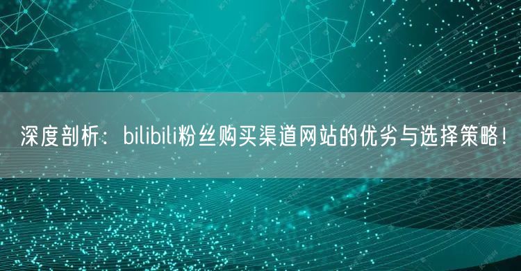 深度剖析：bilibili粉丝购买渠道网站的优劣与选择策略！