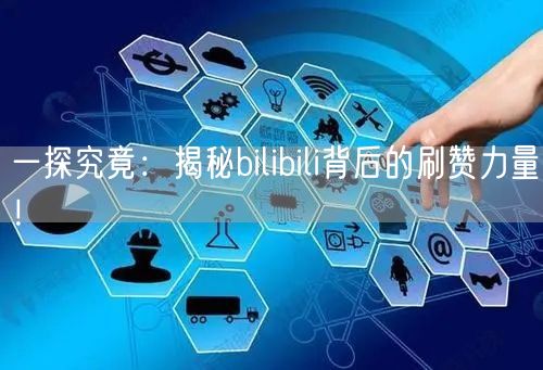 一探究竟：揭秘bilibili背后的刷赞力量！