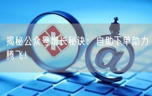 揭秘公众号增长秘诀：自助下单助力腾飞！