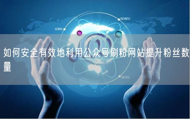 如何安全有效地利用公众号刷粉网站提升粉丝数量