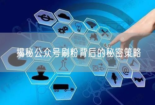 揭秘公众号刷粉背后的秘密策略