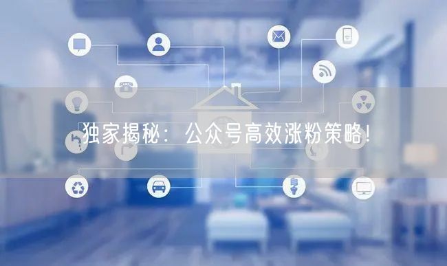 独家揭秘：公众号高效涨粉策略！