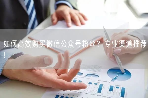 如何高效购买微信公众号粉丝？专业渠道推荐！