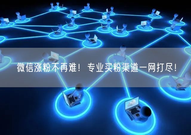 微信涨粉不再难！专业买粉渠道一网打尽！