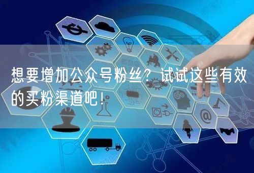 想要增加公众号粉丝？试试这些有效的买粉渠道吧！