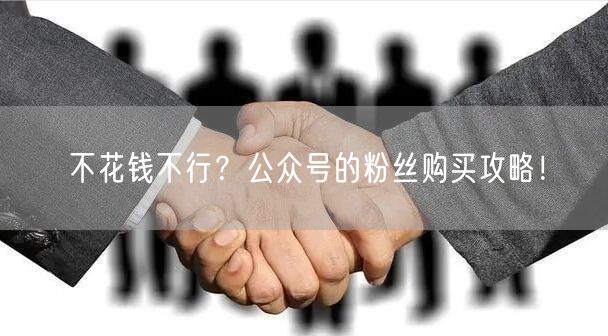 不花钱不行？公众号的粉丝购买攻略！