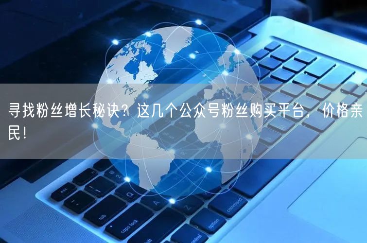 寻找粉丝增长秘诀？这几个公众号粉丝购买平台，价格亲民！