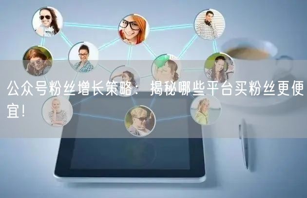 公众号粉丝增长策略：揭秘哪些平台买粉丝更便宜！