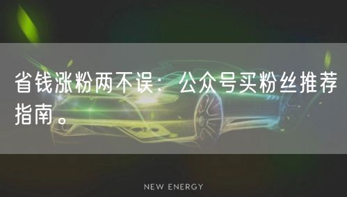 省钱涨粉两不误：公众号买粉丝推荐指南。