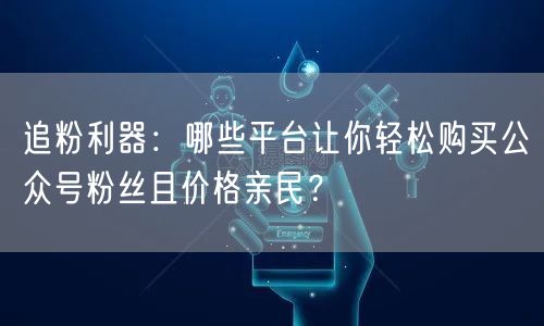 追粉利器：哪些平台让你轻松购买公众号粉丝且价格亲民？