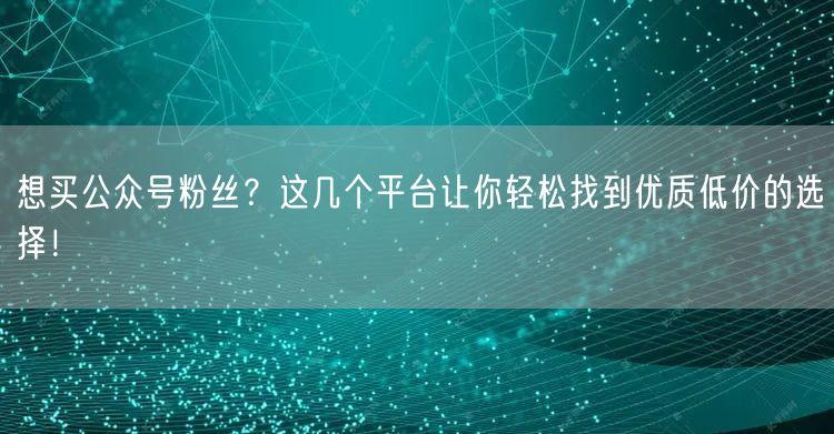 想买公众号粉丝？这几个平台让你轻松找到优质低价的选择！